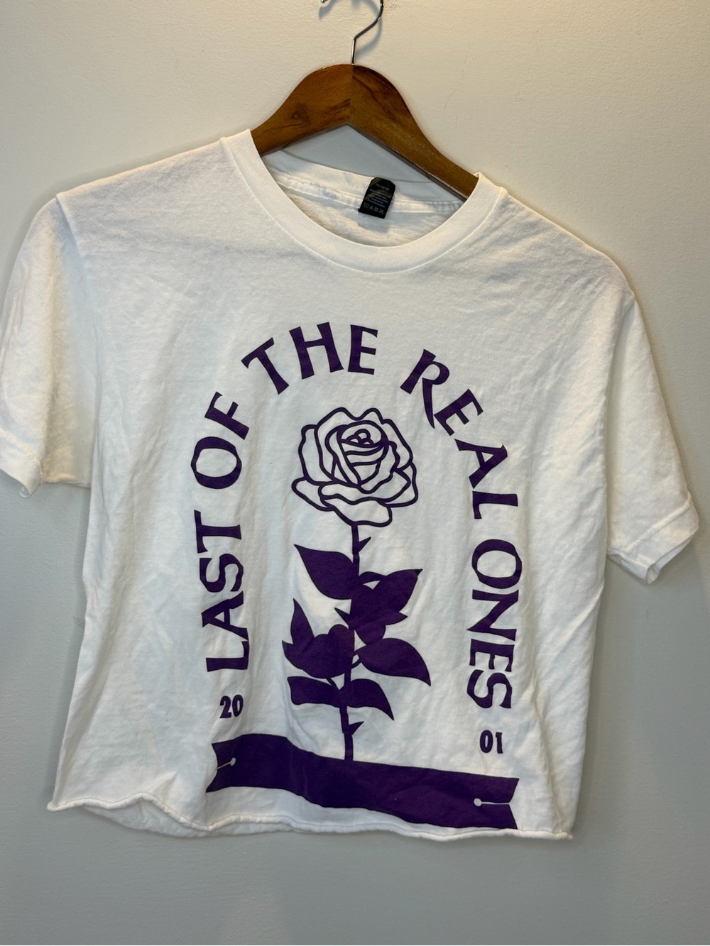 Fall out boy cropped tee - Last Of The Real Ones